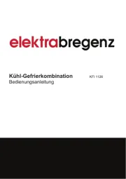 Elektra Bregenz