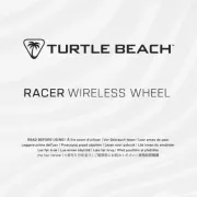 Turtle Beach