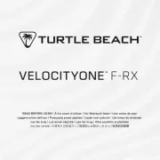 Turtle Beach
