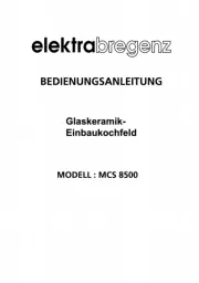 Elektra Bregenz