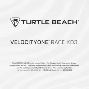Turtle Beach