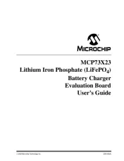 Microchip