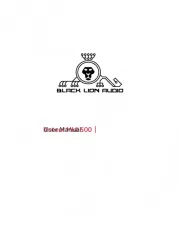Black Lion Audio