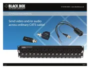 Black Box