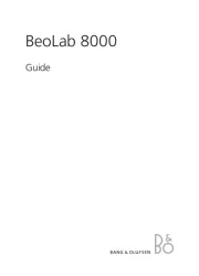 Bang Olufsen