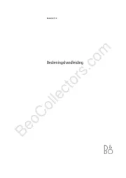 Bang Olufsen