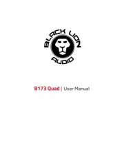Black Lion Audio