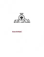 Black Lion Audio