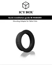 Icy Box