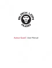 Black Lion Audio