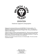 Black Lion Audio