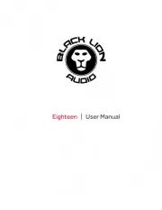 Black Lion Audio