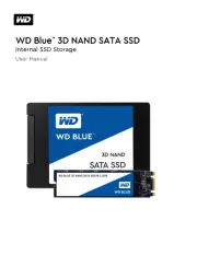 Western Digital