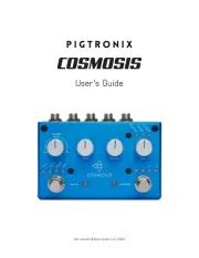 Pigtronix