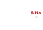 Intex