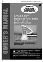 Intex