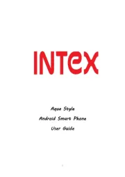 Intex