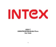Intex