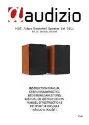 Audizio
