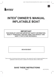Intex
