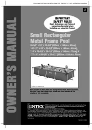Intex