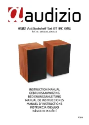 Audizio
