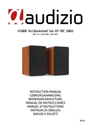 Audizio