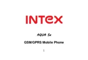 Intex