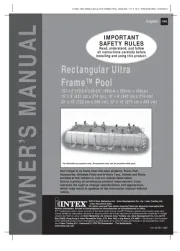 Intex