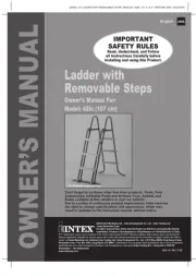 Intex