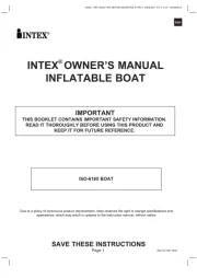 Intex