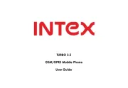 Intex