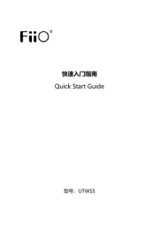 Fiio