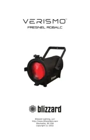 Blizzard