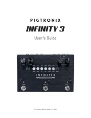 Pigtronix