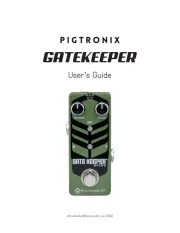 Pigtronix