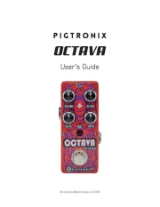 Pigtronix