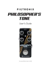 Pigtronix