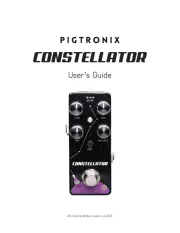 Pigtronix