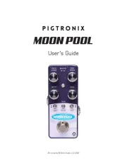 Pigtronix