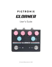Pigtronix