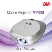 3M