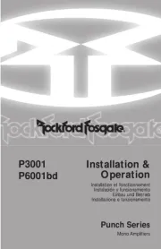 Rockford Fosgate