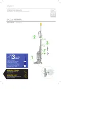 Dyson