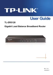 TP Link