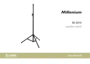 Millenium