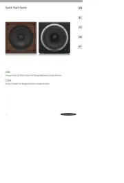 Behringer