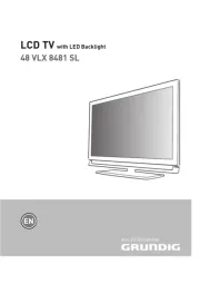 Grundig