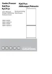 Grundig