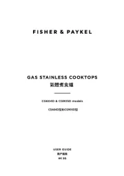 Fisher Paykel